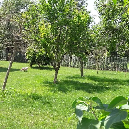 Koeskue מלון